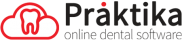 praktika-logo Praktika Logo